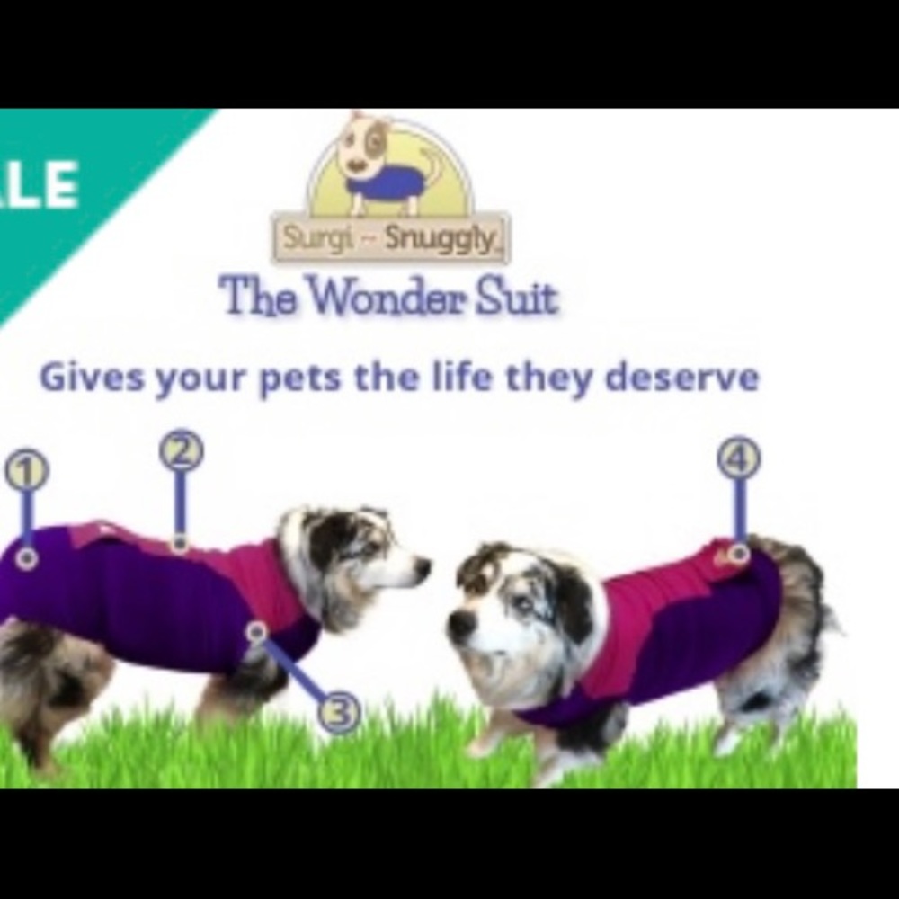 Surgi-Snuggly e-collar alternative
